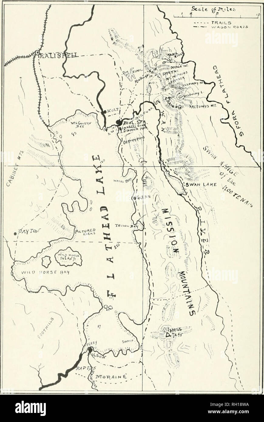 Brick by brick by bike – The Pulp, image size:870x1390