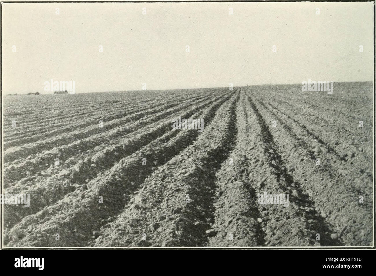 Bulletin Agriculture 30 Agricultuee In The Semiaeid Great Plains Conservation Of Moisture Is Not The Only Benefit Derived From Sum Mer Tillage Although It Is One Of The Most Important Reasons Bulletin Agriculture 30 Agricultuee In The Semiaeid Great Plains Conservation Of Moisture Is Not The Only Benefit Derived From Sum Mer Tillage Although It Is One Of The Most Important Reasons