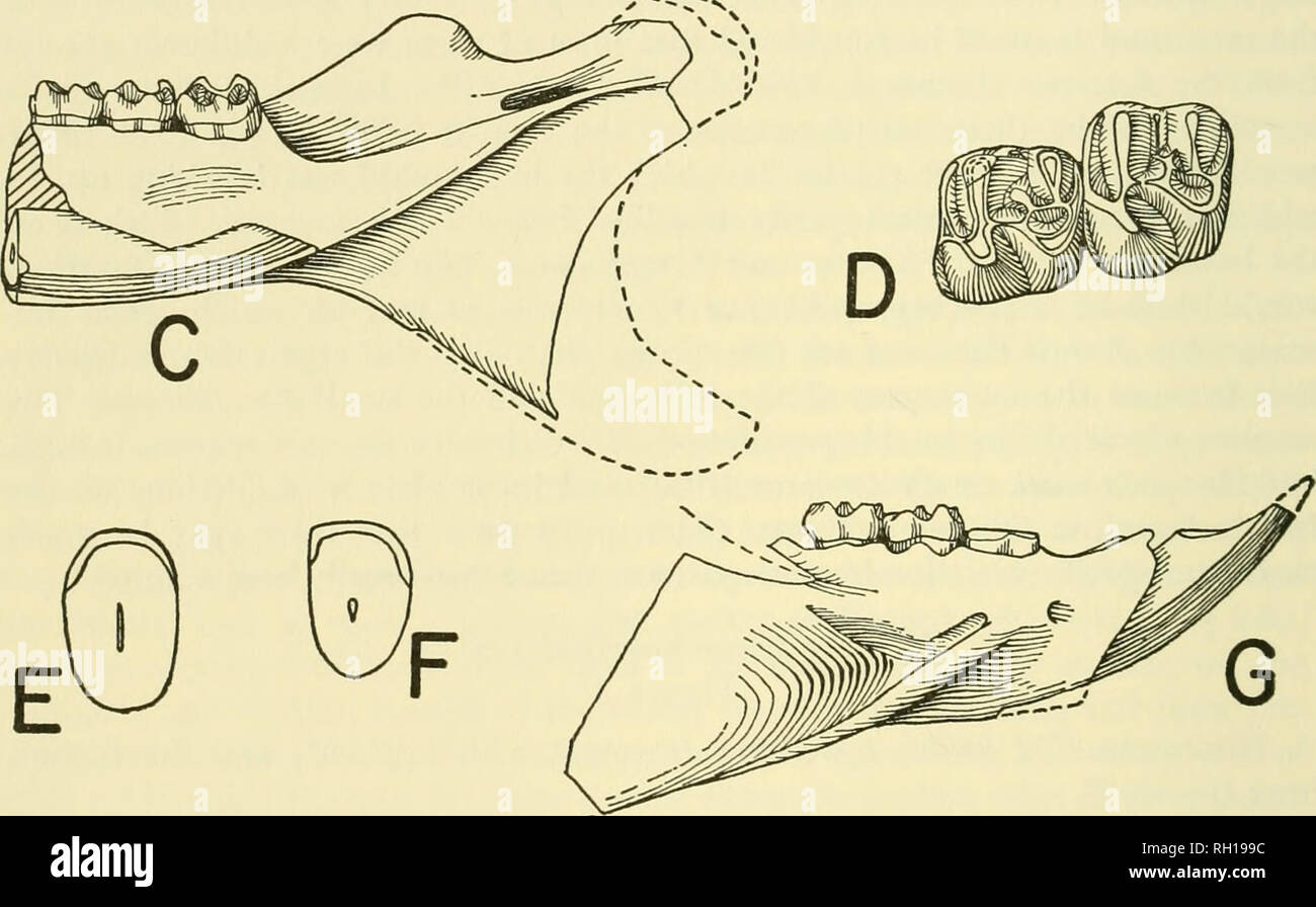 Page 5 E M1 High Resolution Stock Photography And Images Alamy