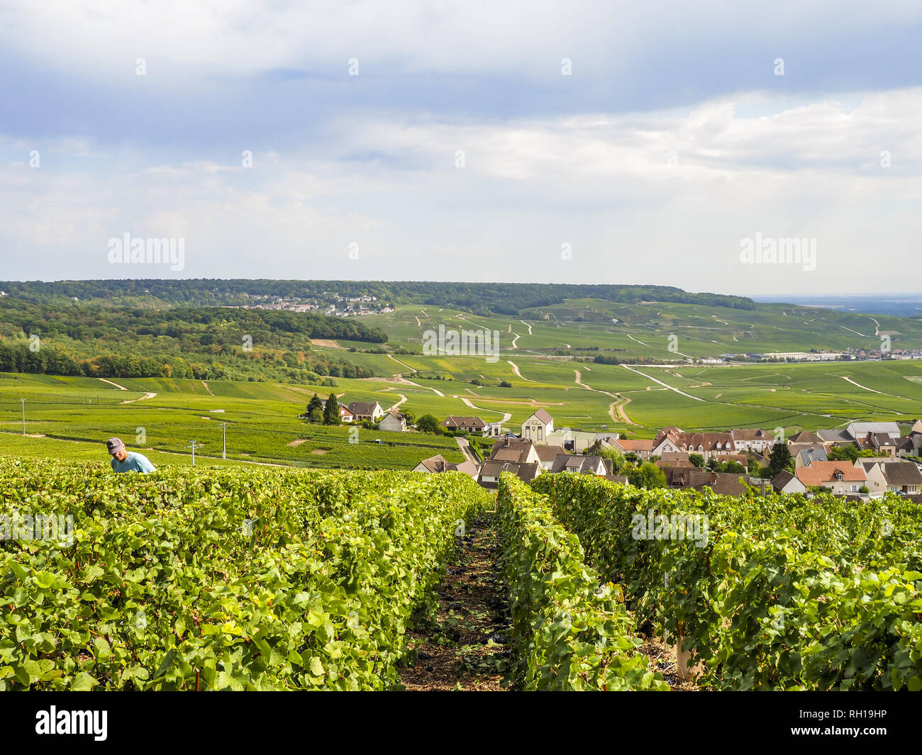 Dom Perignon, Hautvillers, Champagne, Marne, France, Europe Stock Photo ...