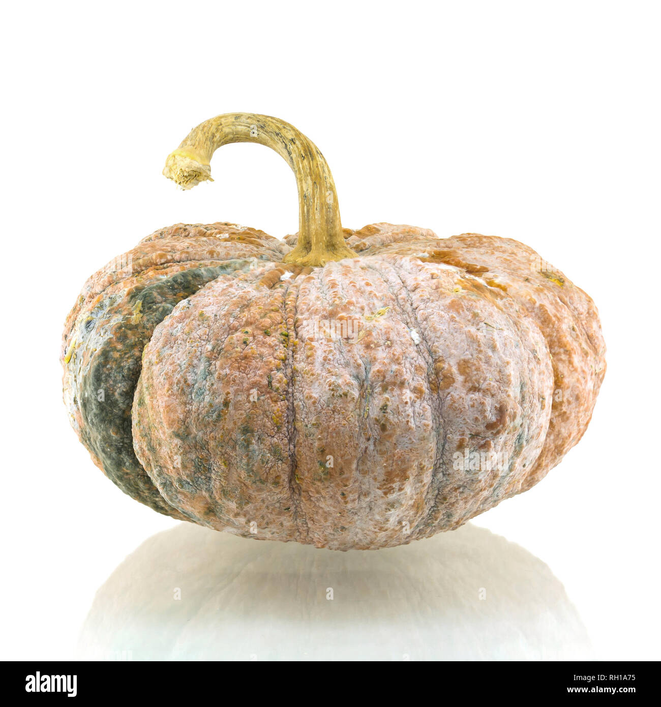 Pumpkin isolated on white background Stock Photo - Alamy