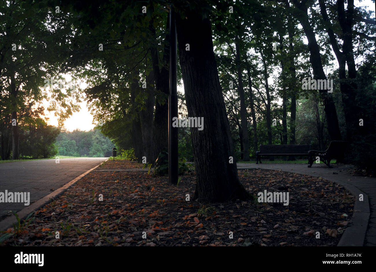 Park benches at night hi-res stock photography and images - Alamy