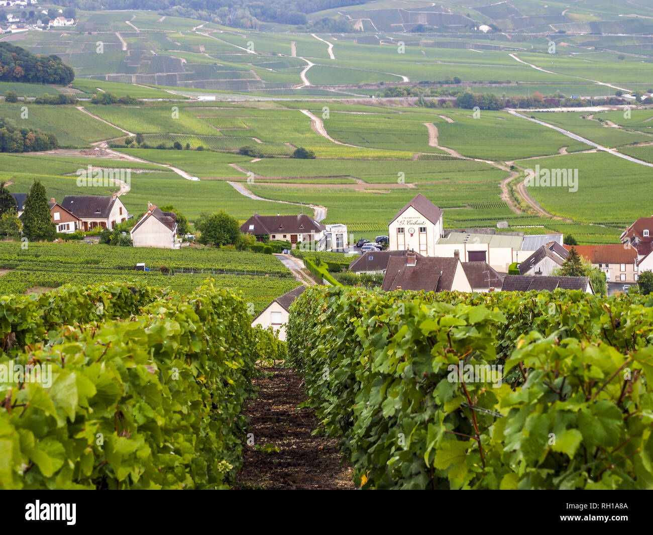 Dom Perignon, Hautvillers, Champagne, Marne, France, Europe Stock Photo