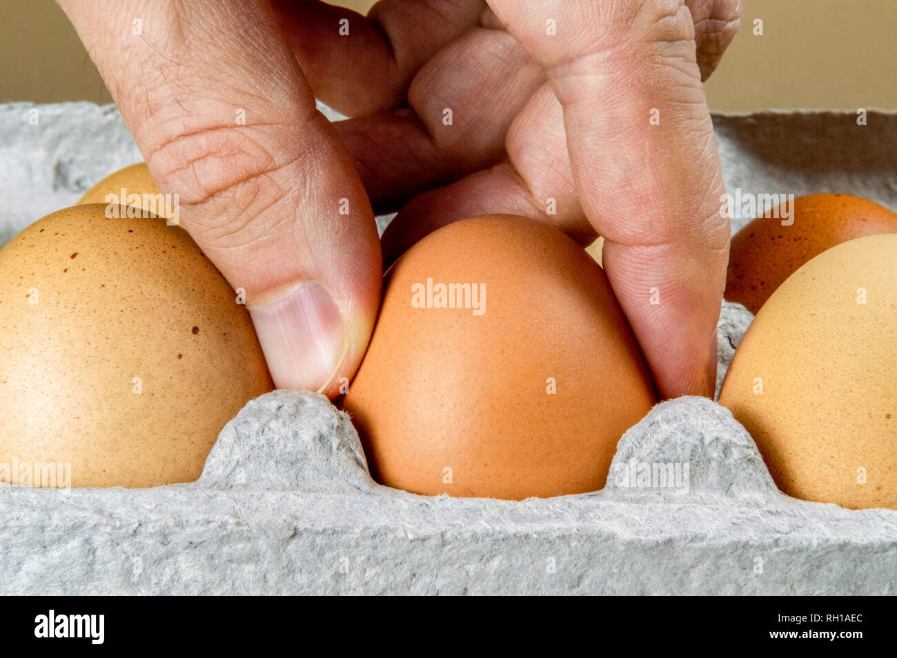 Close up of male hand taking a chicken egg from a cardboard egg box. Stock Photo