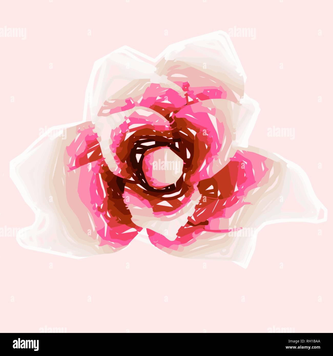 pink rose blossom flower ornament pattern, vector illustration Stock ...