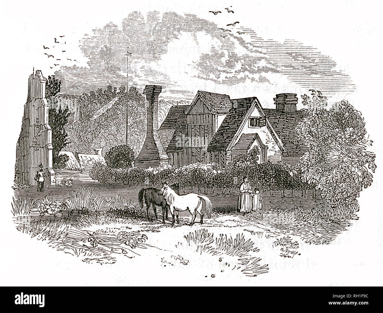 Taken From 'The Natural History of Selborne' By The Rev Gilbert White, 1875 Edition Stock Photo