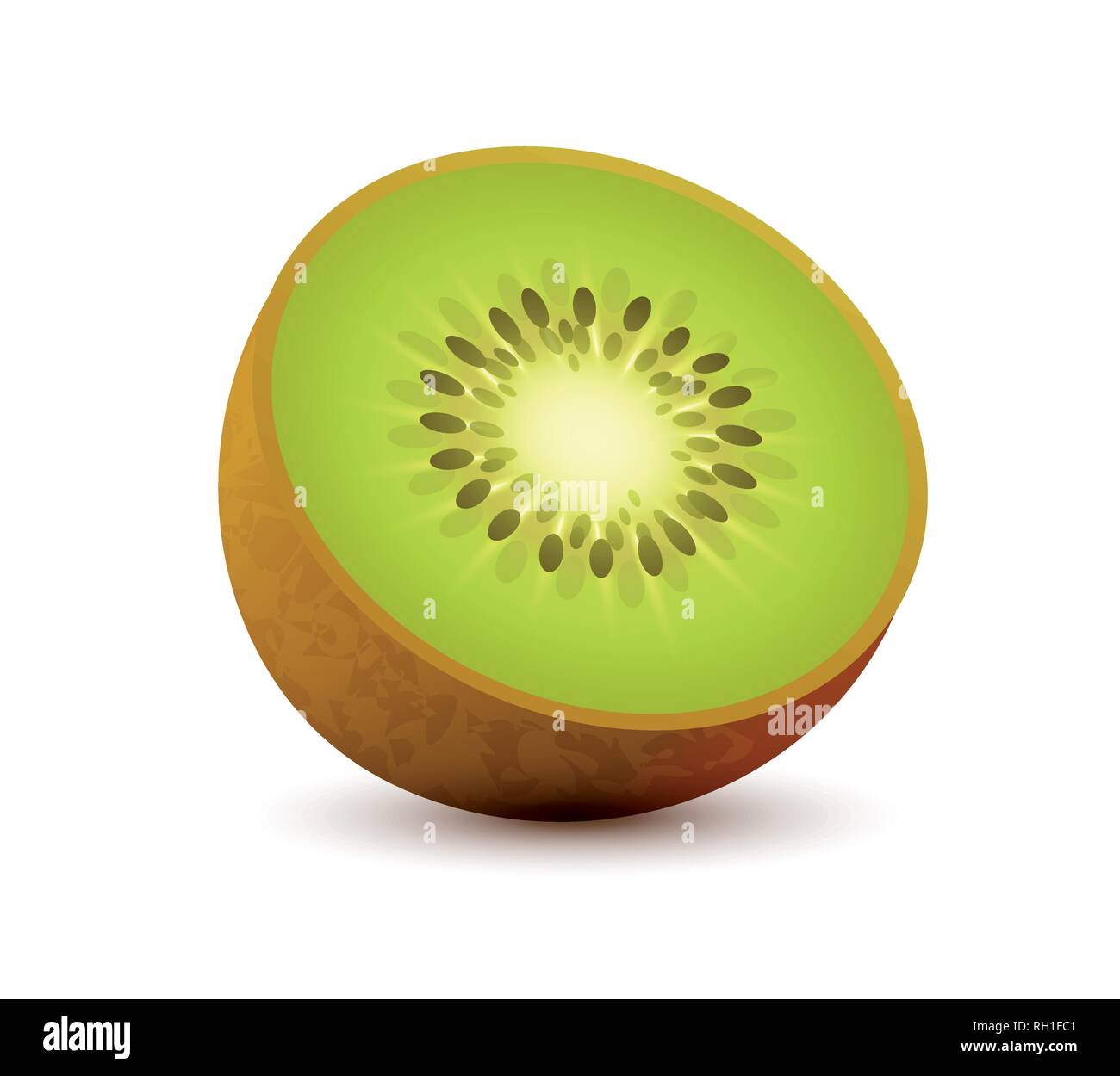 Realistic vector icon of Kiwi, sliced juicy tropical fruit isolated on white Stock Vector