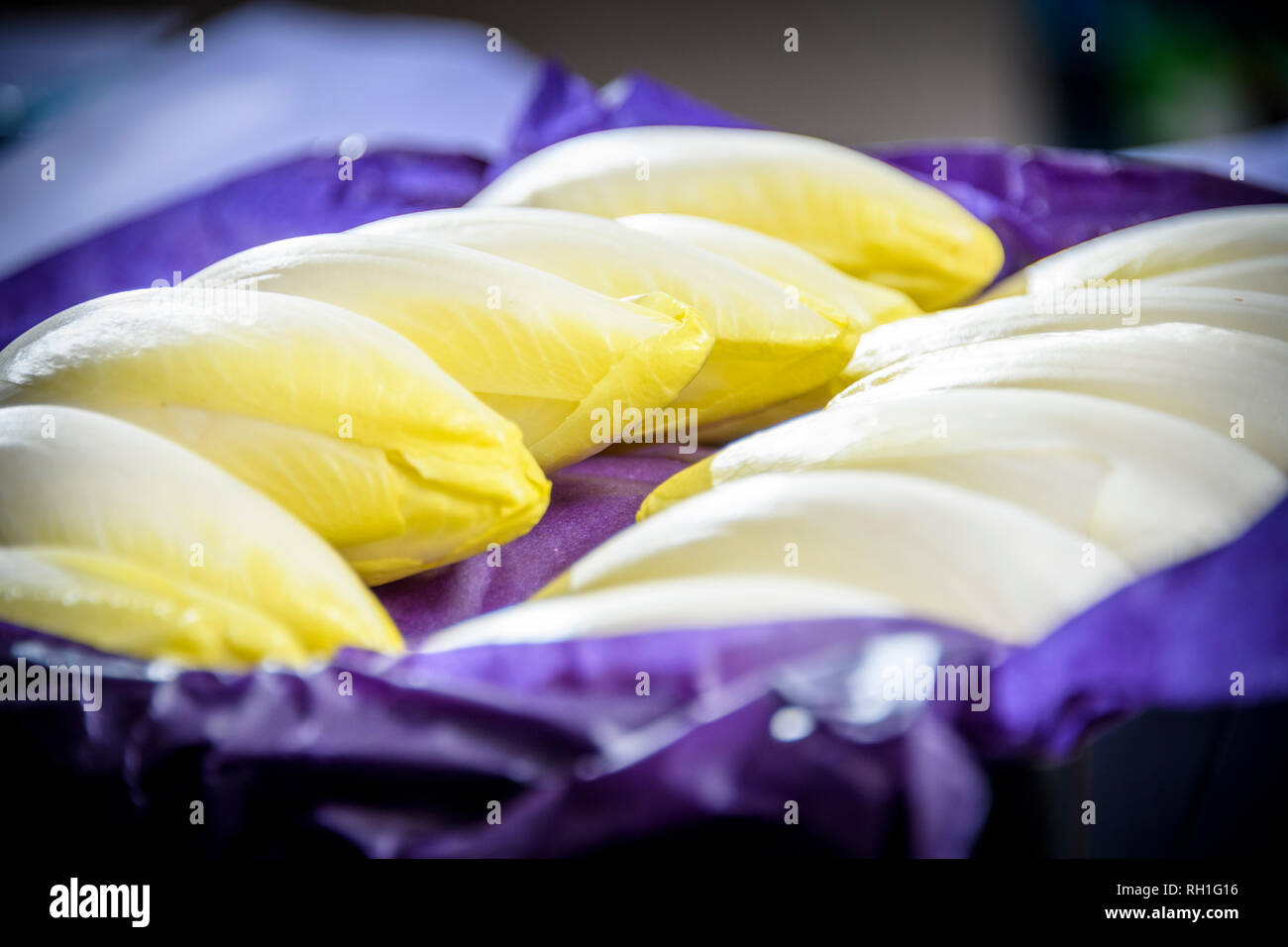 endive in packaging Stock Photo - Alamy