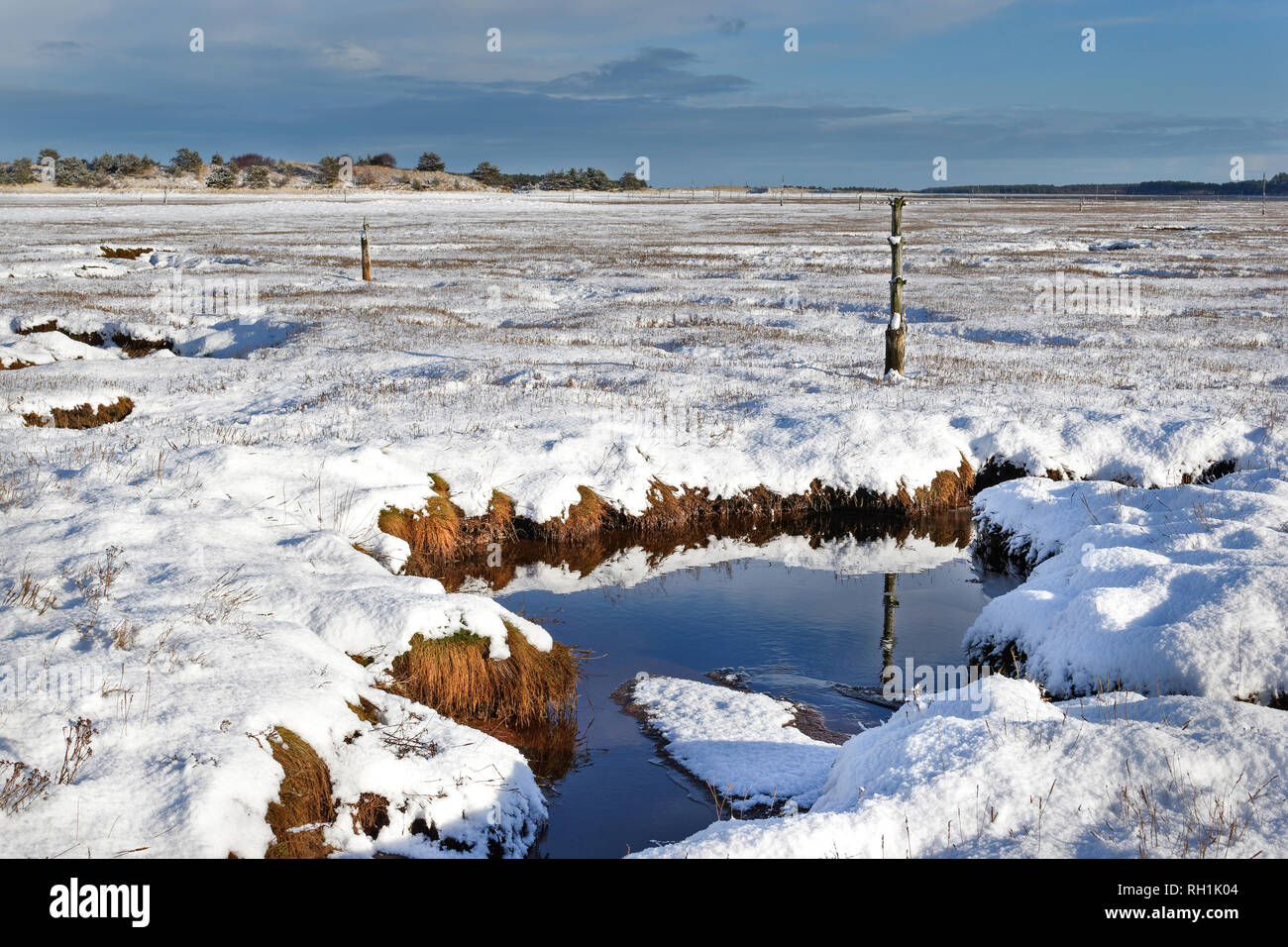 Deep Snowfall Deep snowfall hi-res stock photography and images - Alamy