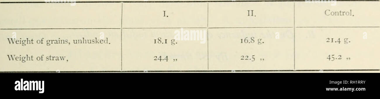 . Bulletin. Agriculture. On the Phvsiolosrical Action of Iodine and Flnorino Compounds on Aflrric. Plants. 475. This shows that the amount of KI absorbed in the soaking was large enough as to cause a retarding influence, which was much greater, however, in regard to the production of straw than in that of grains. A field experiment further was made with oats. On 3 plots, each measuring 20 square meters, an equal amount of oats grains previously soaked for two days in water was sown on March 21. On April 15, the young plants had reached 3—4 cm. and were treated now the first time with potassium Stock Photo