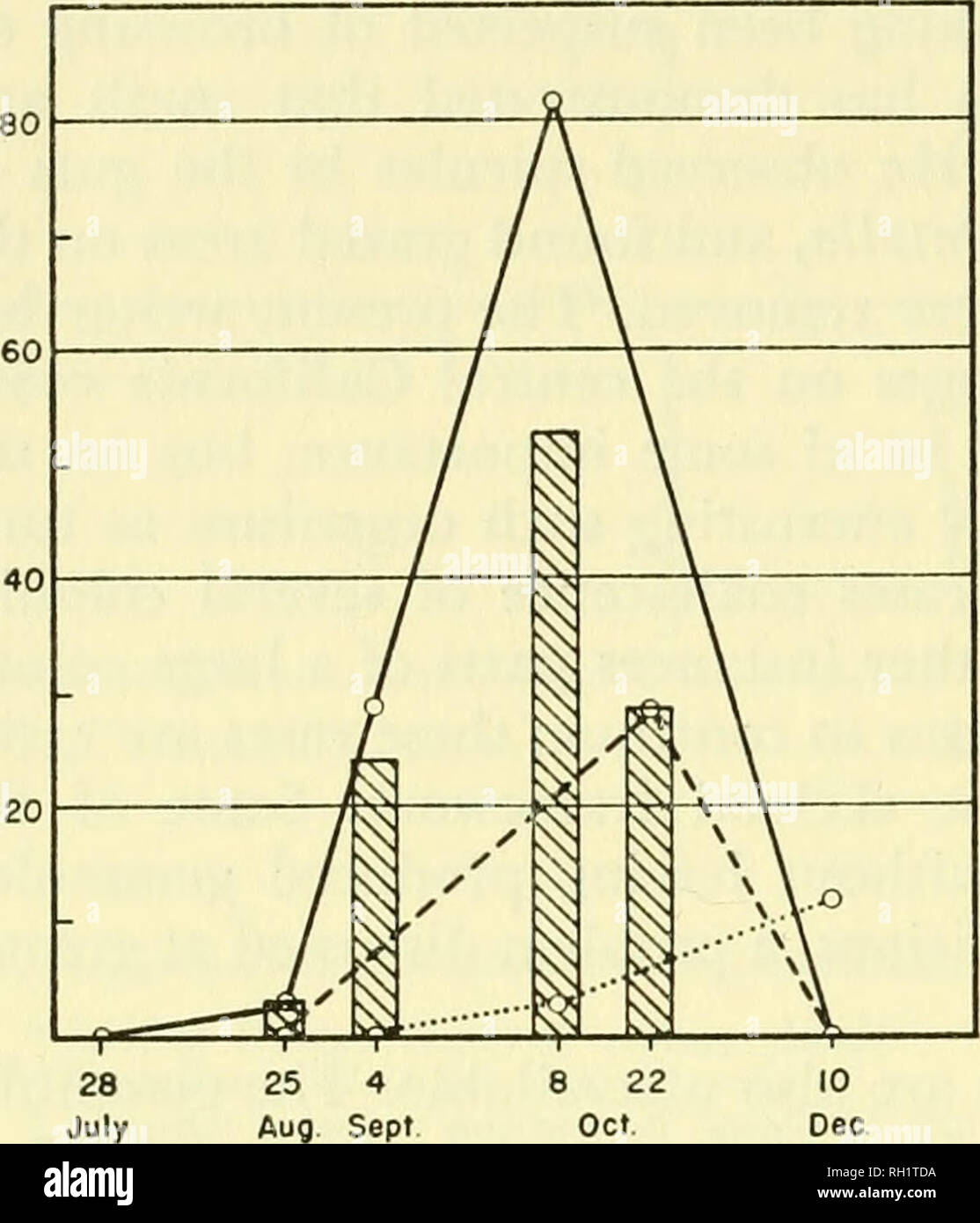 . Bulletin. Natural history; Natuurlijke historie. 98 MARINE SPONGES agents of population increase. A solution to these problems awaits more careful and complete observations on the life history of this interesting sponge. Reference to the graph in figure 28 indicates that the larvae settling on shells suspended from the dock considerably outnumbered those settling on shells hung from the float. Since the shells in the latter location outnumbered the former, so that there was actually more surface area available for settling, it seems reasonable to expect a correlation with some environmental Stock Photo