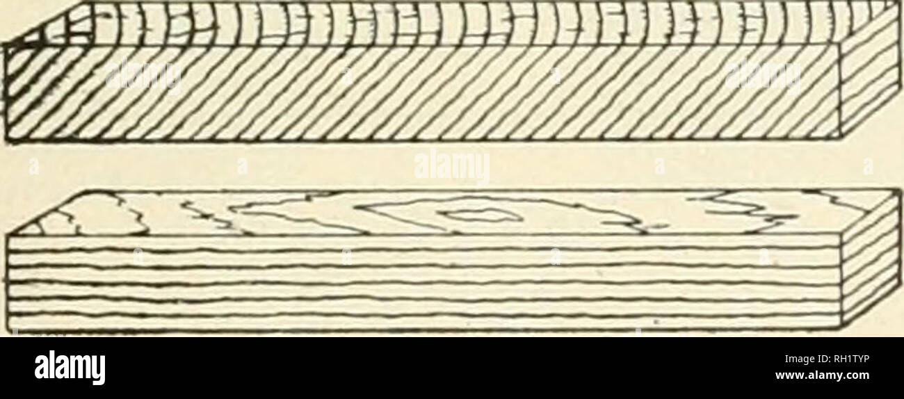 Bulletin Forests And Forestry United States Tension And Compression When A Piece Of Wood Is Pulled Lengthwise In The Manner Shown In Fig 2g Part Of The Fibers Are Torn
