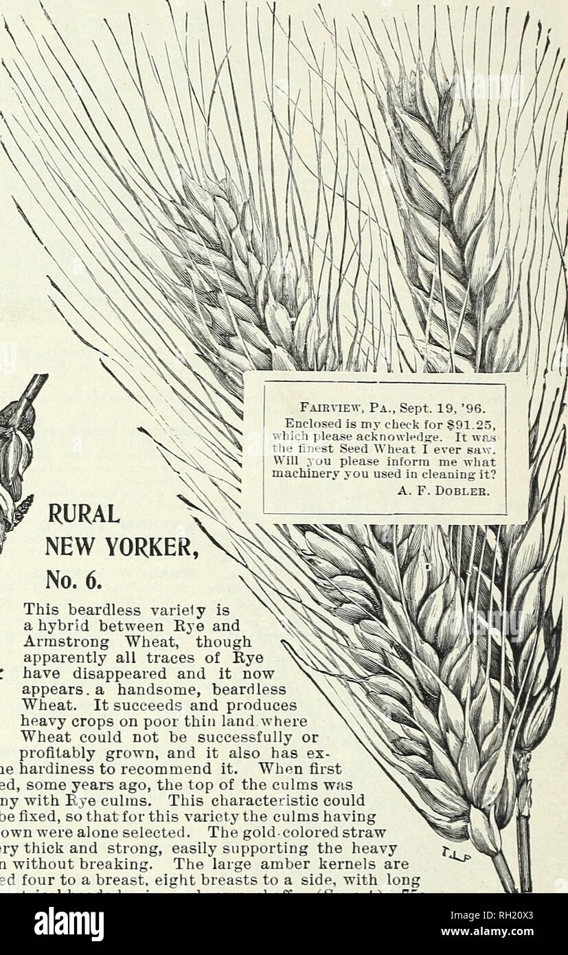 . Bulbs, plants, seeds for autumn planting : 1899. Gardening Equipment ...
