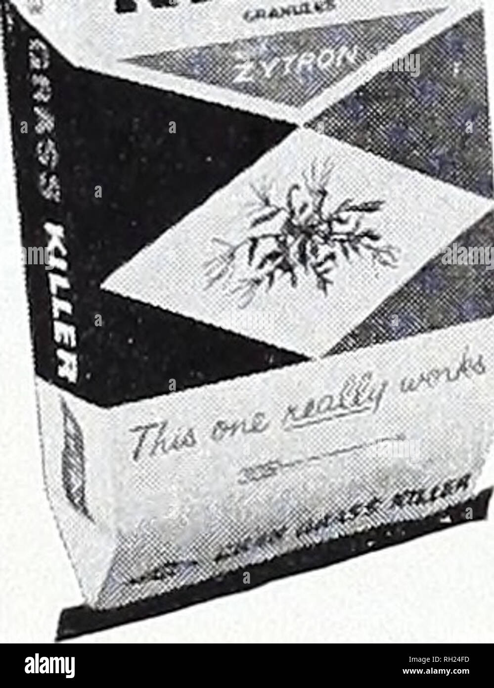 Bulbs Plants And Lawn Seeds For Fall 1962 Planting Nurseries