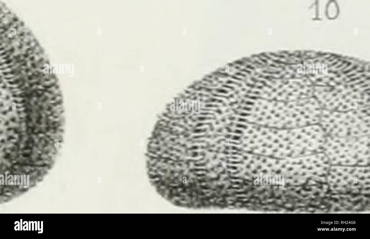 Page 2 Fcn V High Resolution Stock Photography And Images Alamy