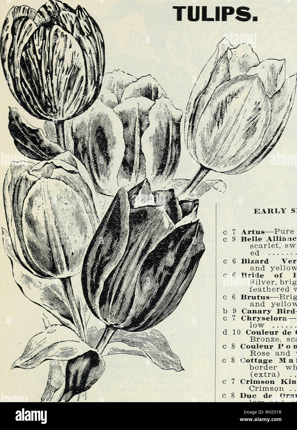 Growth rates height hires stock photography and images Alamy