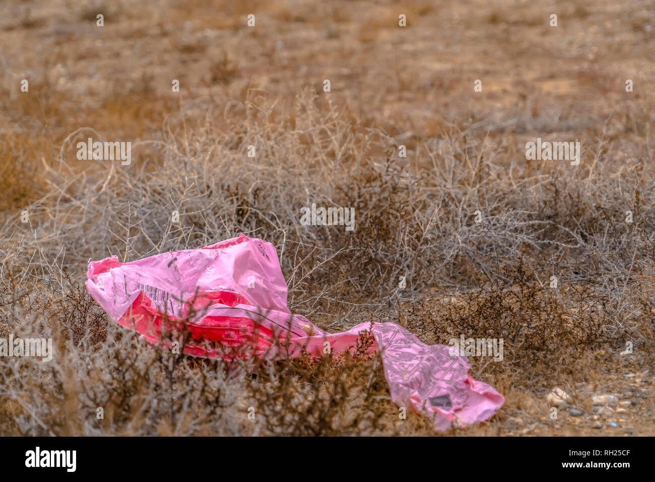Plastic trash on a grassy ground in Utah Valley Stock Photo Alamy
