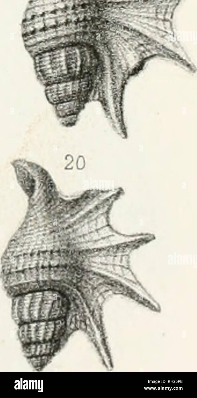 Ei Imp High Resolution Stock Photography And Images Alamy