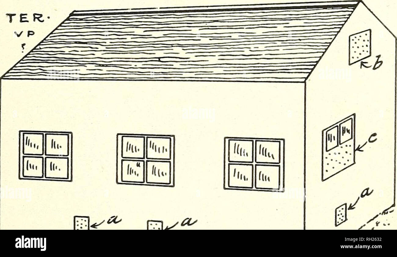 . Built and used by poultrymen;. Poultry. Adapting Barns 100. A Perfectly Dry House. Mr. Rondeau has a ventilating system for poultry houses which he says cannot be beaten. He can leave straw on the floor for three months if he wished, and it would be as dry then as when he put it in. The house as illustrated is 30 ft. long and 12 ft. wide. It is divided into four pens; has a cement floor and a double-pitch roof. The ventilating is done as. l/ll, m &quot;i„. piT : fll, i&lt; m ^ Os Mr. Rondeau's Ventilating System This can be used in a barn or any style of poultry house and gives good results. Stock Photo