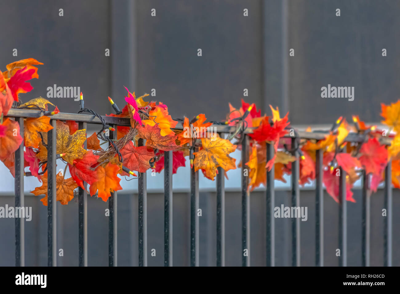 Railing with string of leaves and christmas lights Stock Photo - Alamy