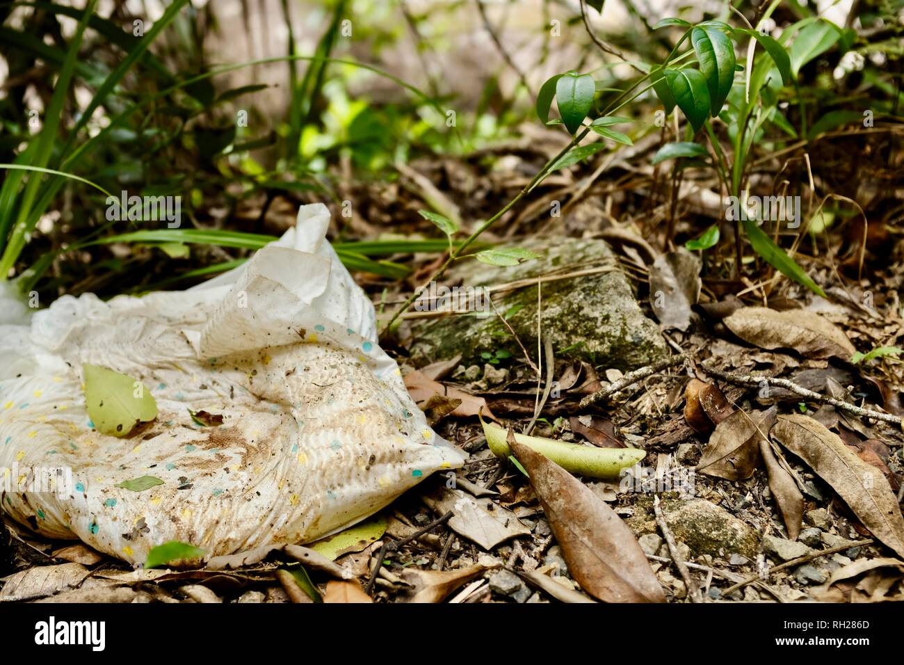 A used diaper left in a forest, Finch Hatton, Queensland 4756