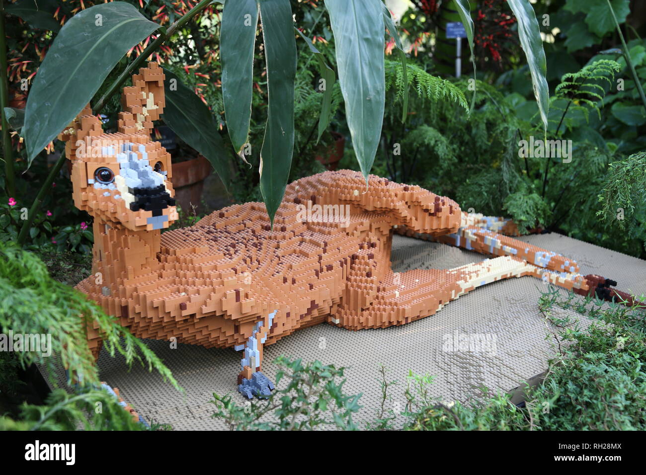 Lego kangaroo hi-res stock photography and images - Alamy