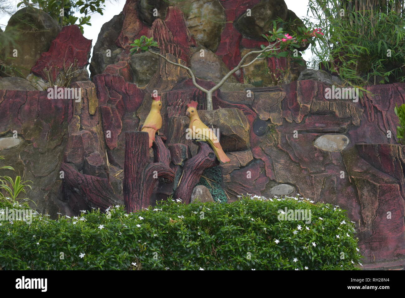 Burung Hiasan Stock Photos Burung Hiasan Stock Images Alamy