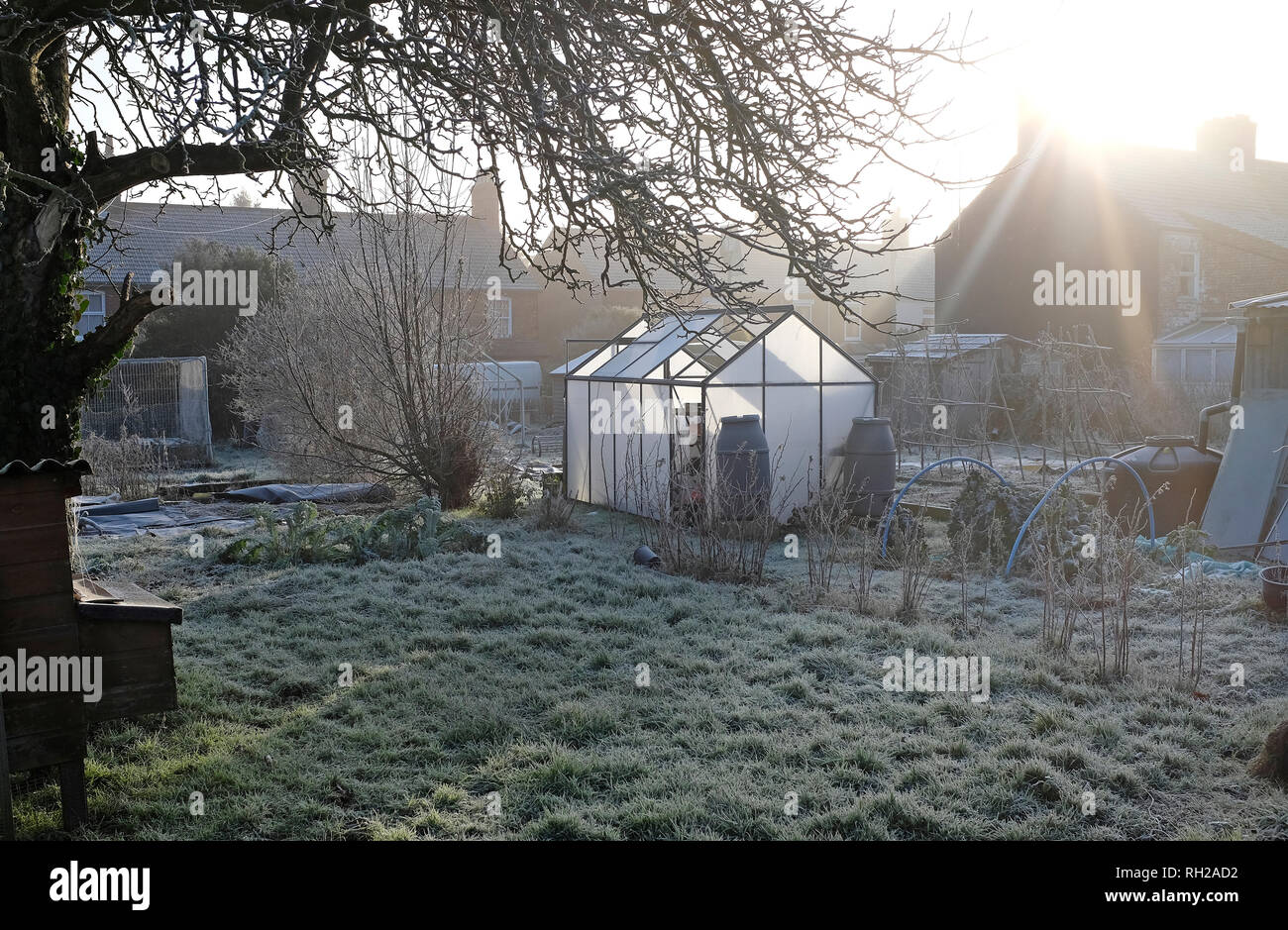early morning frost on allotment gardens, melton constable, north norfolk, england Stock Photo