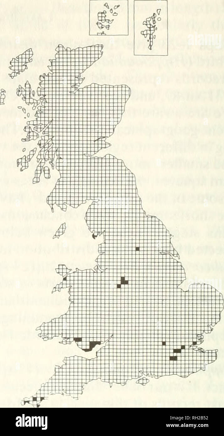 . British journal of entomology and natural history. Natural history; Entomology. Map 1. 24 spot ladybird Subcoccinella 24-puntata Map 2. Adonis' ladybird Adonia variegata. Please note that these images are extracted from scanned page images that may have been digitally enhanced for readability - coloration and appearance of these illustrations may not perfectly resemble the original work.. British Entomological and Natural History Society. [London] : British Entomological and Natural History Society Stock Photo