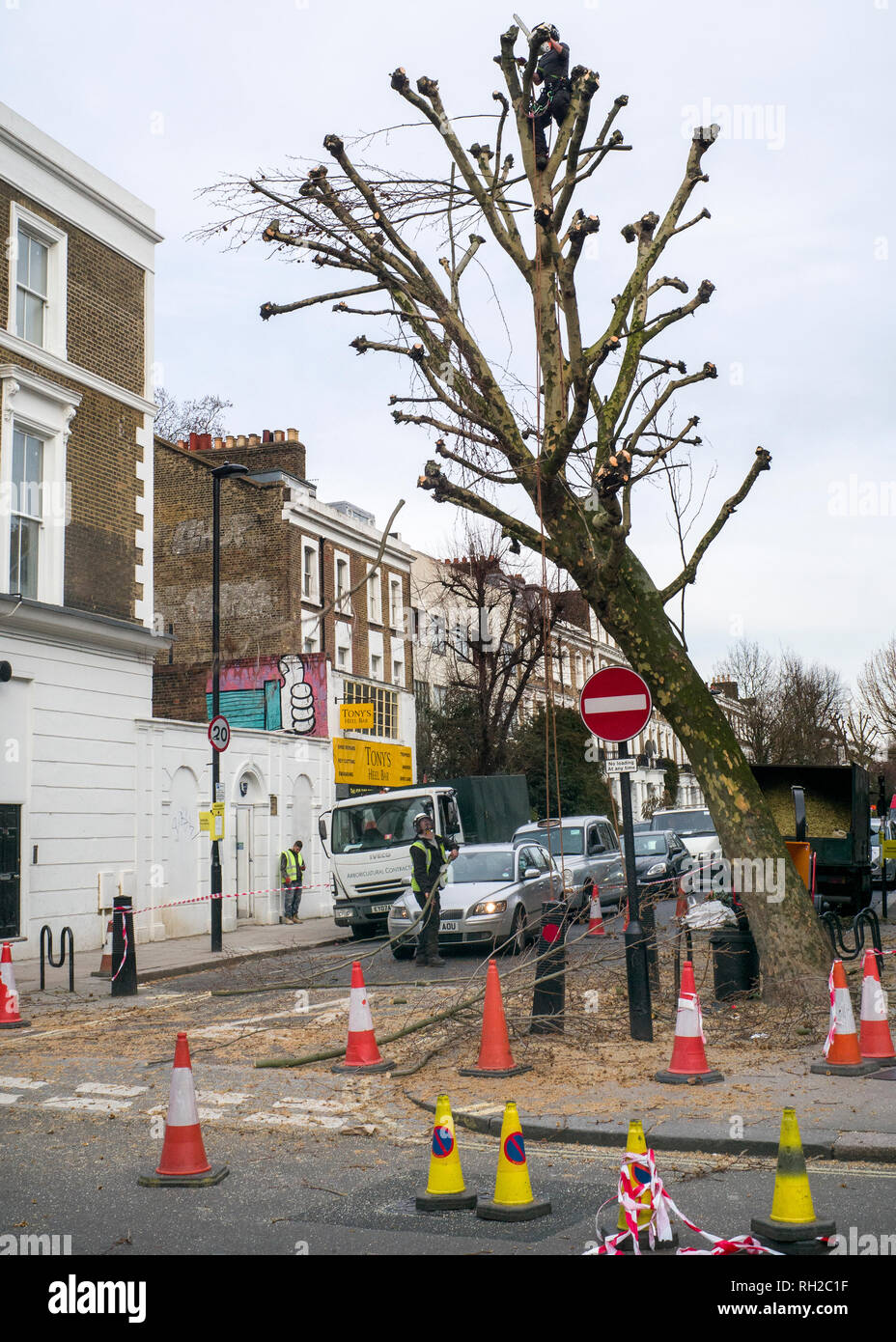 tree trimming by council workers Kentish town high street London Stock