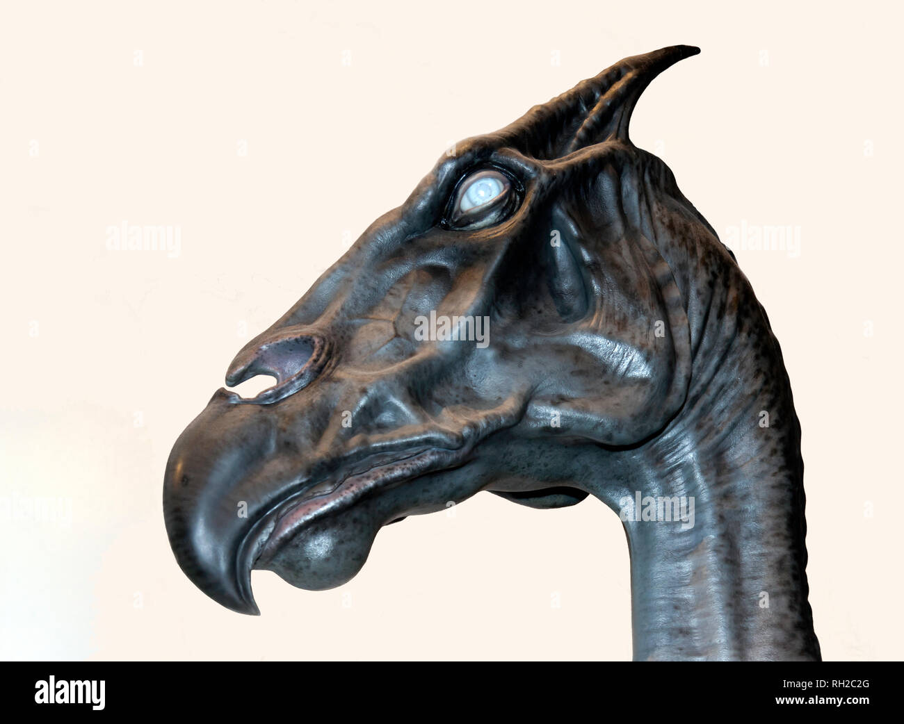 Close-up of the head of a Thestral,, Warner brothers Studio Tour, Leavesdon Stock Photo