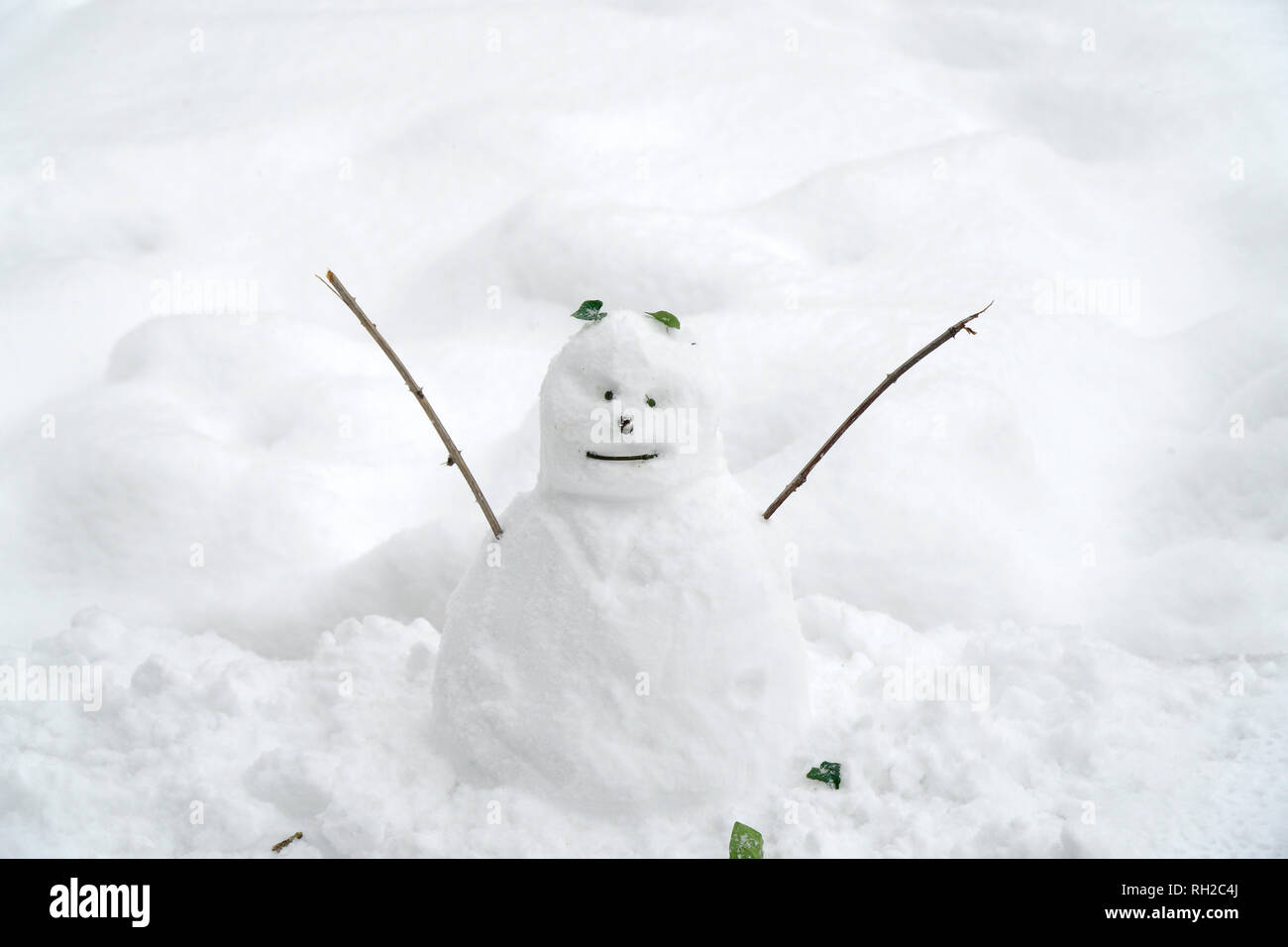 Mini snowman hi-res stock photography and images - Alamy