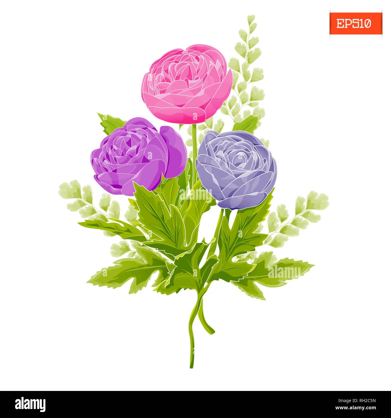 Bouquet of peonies with leaves in watercolor style on a white ...
