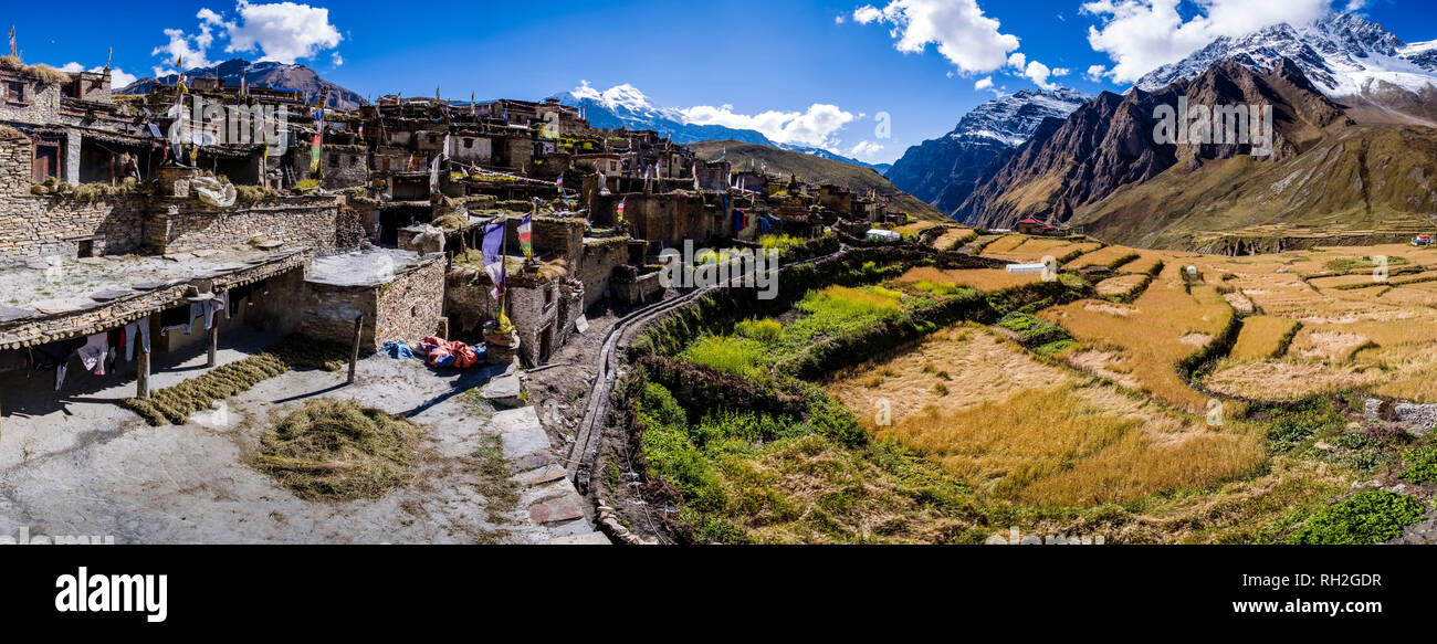 Panoramic view on the village, located at a mountain slope, surrounded by barley fields in the upper Naar Khola valley Stock Photo