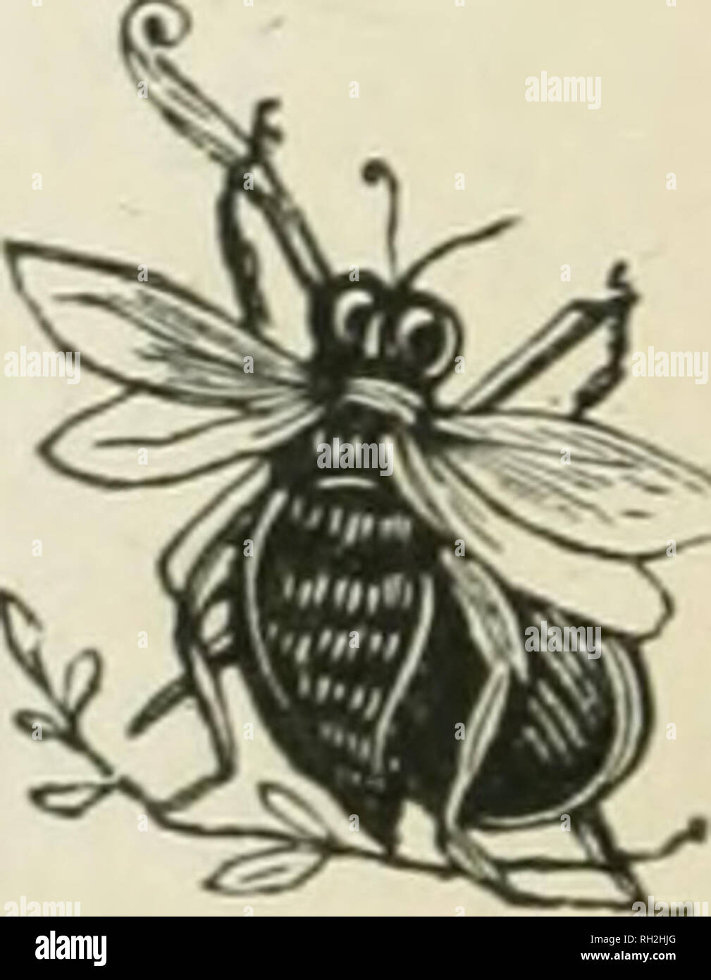 Bee Hives London Stock Photos Bee Hives London Stock - 