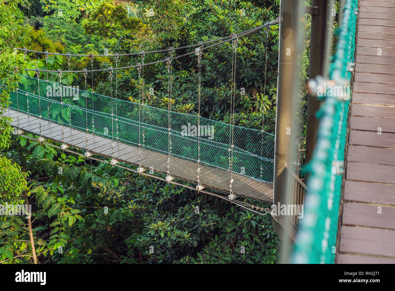 Suspension bridge over the forest in Kuala Lumpur Stock Photo