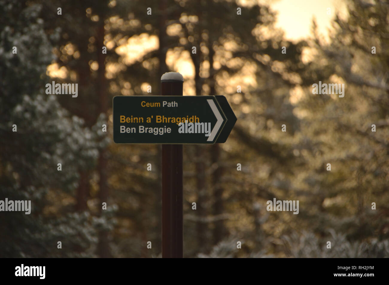 A Gaelic-English bi-lingual footpath direction sign in winter woodland in the Scottish Highlands, Great Britain. Stock Photo