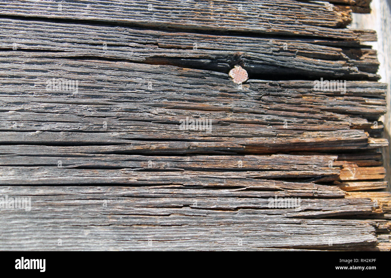 The old wood texture with natural patterns. Inside the tree background ...