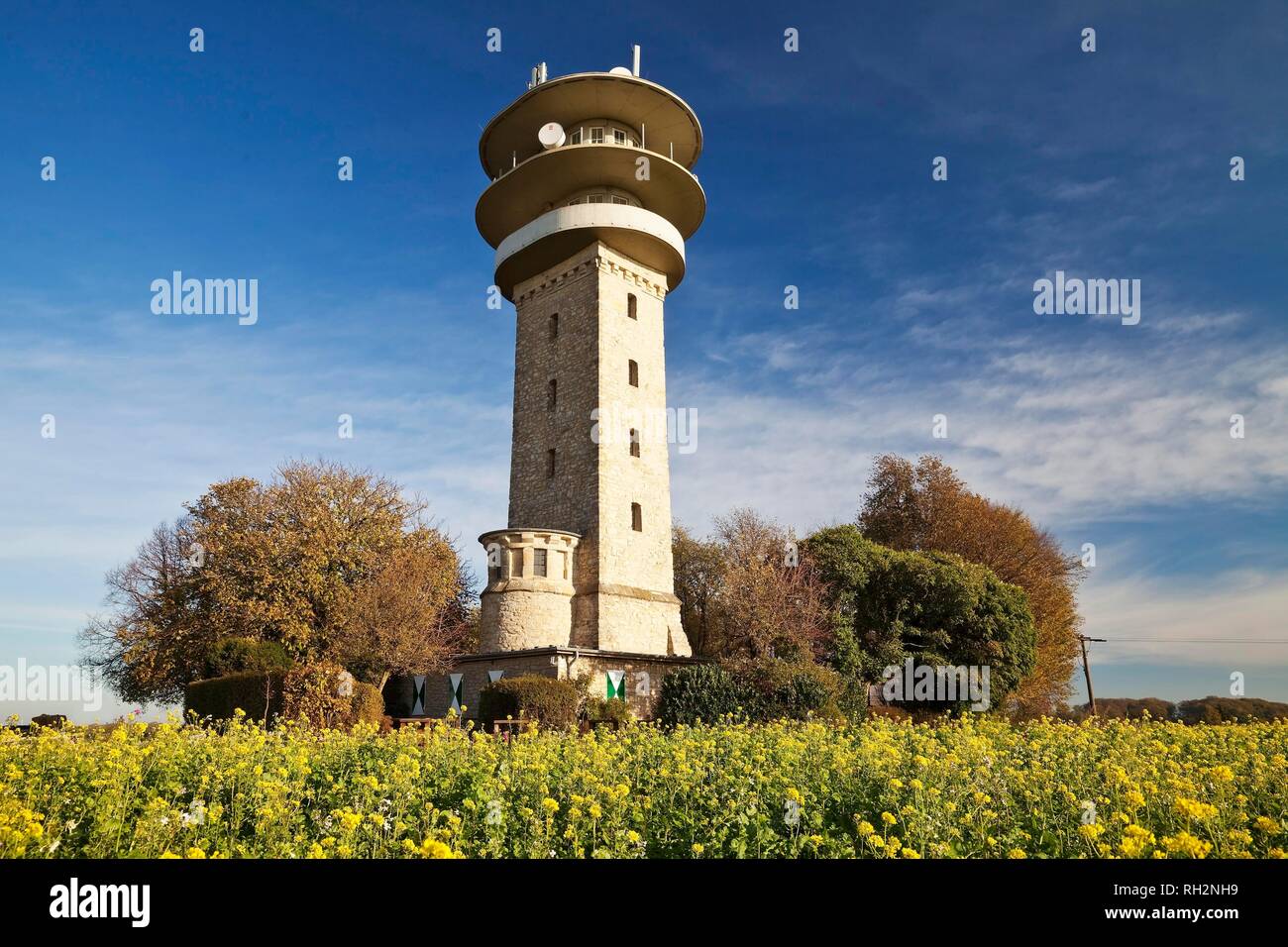 Longinus Tower on the Westerberg, Baumberge, Nottuln, Münsterland, North Rhine-Westphalia, Germany Stock Photo