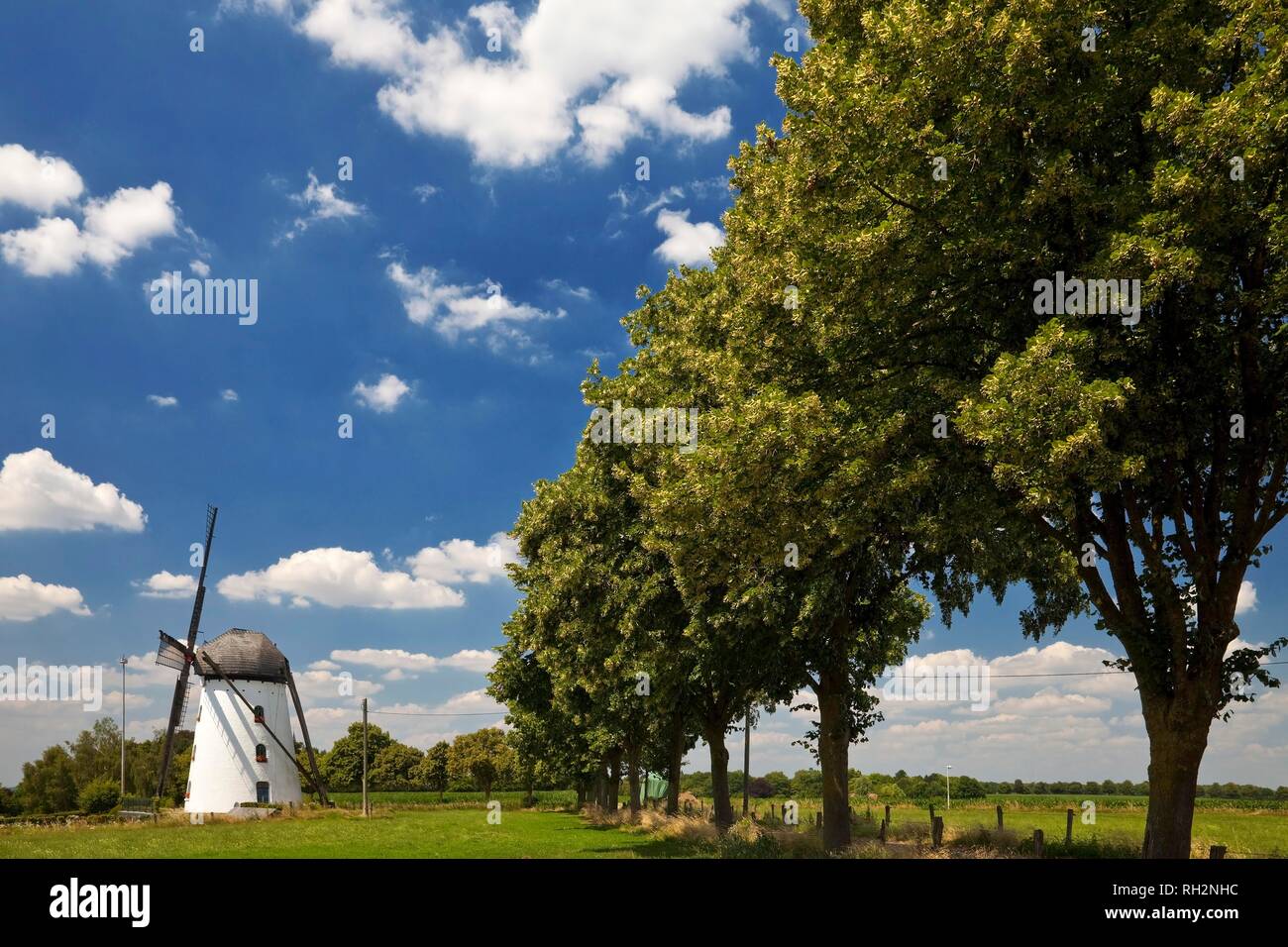 Stammenmühle windmill, Nettetal, Lower Rhine, North Rhine-Westphalia, Germany Stock Photo