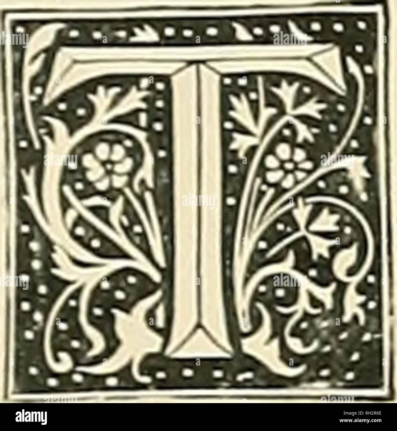 British Trees Trees The Aspen General Remarks He Wind In The Trees How Fascinating And How Familiar A Sound Less Familiar Perhaps To Some Is The Thought That Every Tree