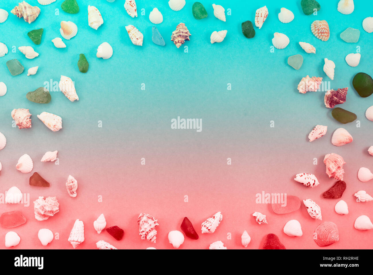 Different sea shells on live coral background. Top view flat lay Stock Photo