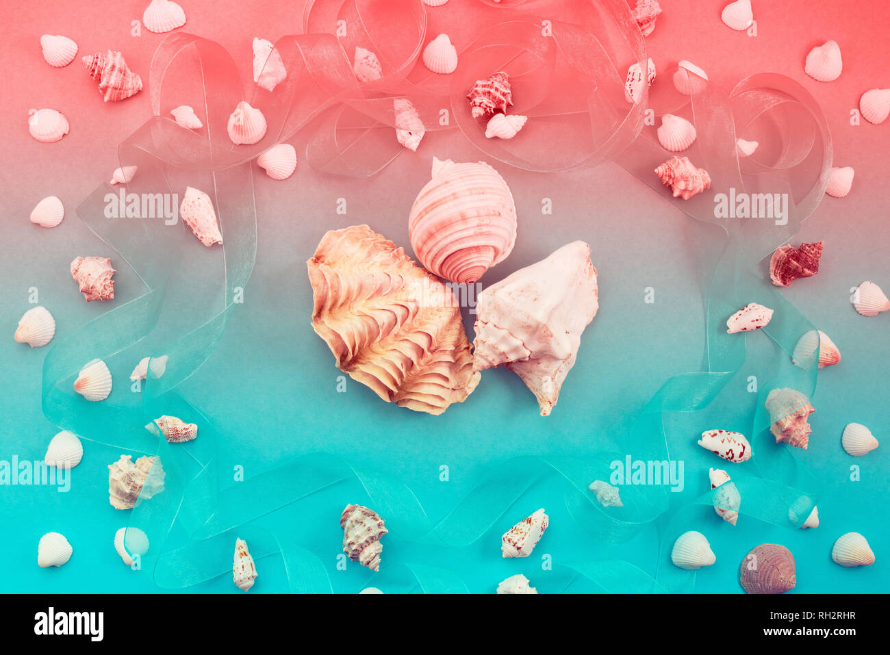 Shell Upper View Different sea shells on blue background. Top view flat lay Stock Photo ...
