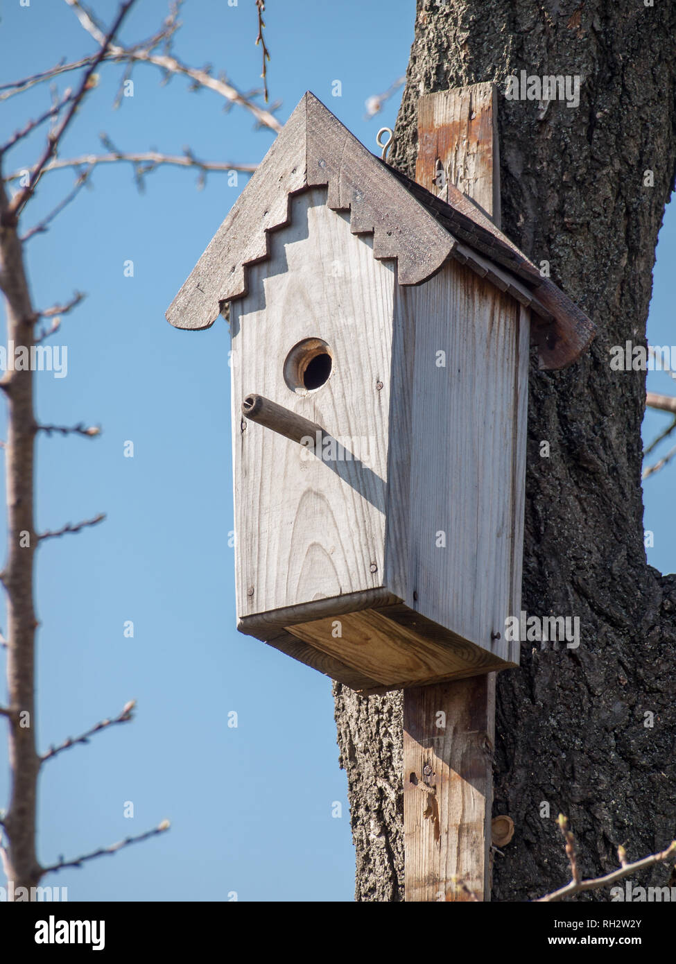 Handmade Birdhouse Hanging On A Tree In The Orchard Hand Wood