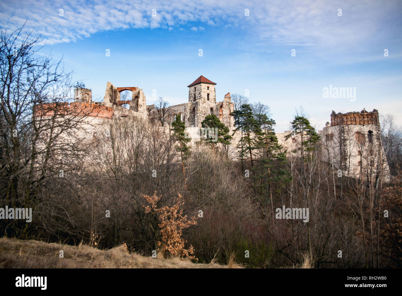 Castle Tenczyn. Ruins old medieval castle in Rudno, Poland. Characteristic type of construction the castle in the style of eagle nests. Stock Photo