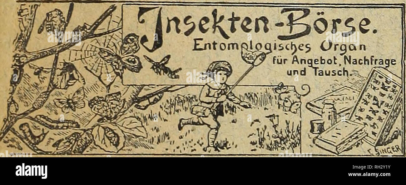 . British naturalist. AD VE RTISEMENTS. CONTENTS. Editorial ... &quot;What Constitutes a British Insect at the Present Time?—C. S. Gregson Geology of Miller's Dale—D. C. Steuart Sallow and Hazel, Early Budding and Flowering of The Pterophorina of Britain—J. W. Tutt, F.E.S. How do Animals Breathe ?—A. J.Jolley Air-Breathing Arthropods—Linnaeus Greening... j Sule Skerry, Orkney Islands—George Ellison ... ' Reports of Societies... Notes—Ianthina rotundata, Dictenidia bimaculata, Early Plusia Larvae, Dasypotia templi Books Received ... ... ... Exchanges .. Notes to Correspondents ... BRITISH BUTTE Stock Photo