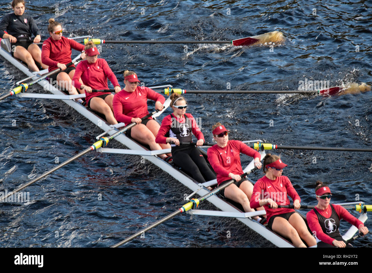 At the head on the charles river hi-res stock photography and images ...