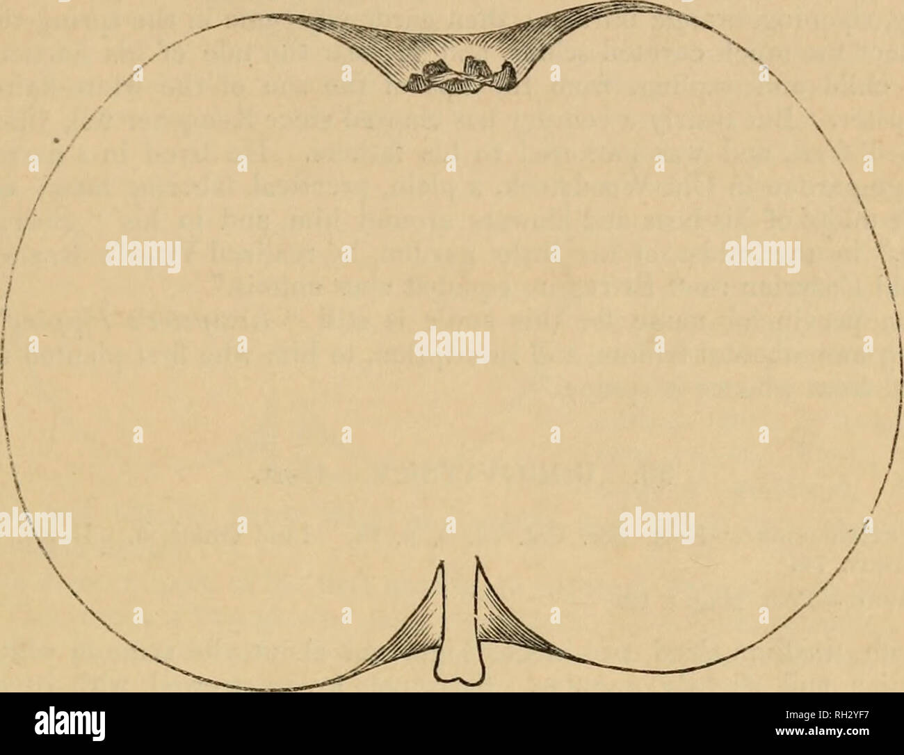 Synonyme de online habit