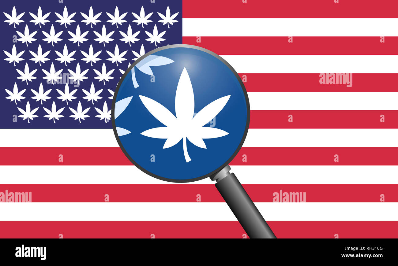 America turns into a country for cannabis lover Stock Photo