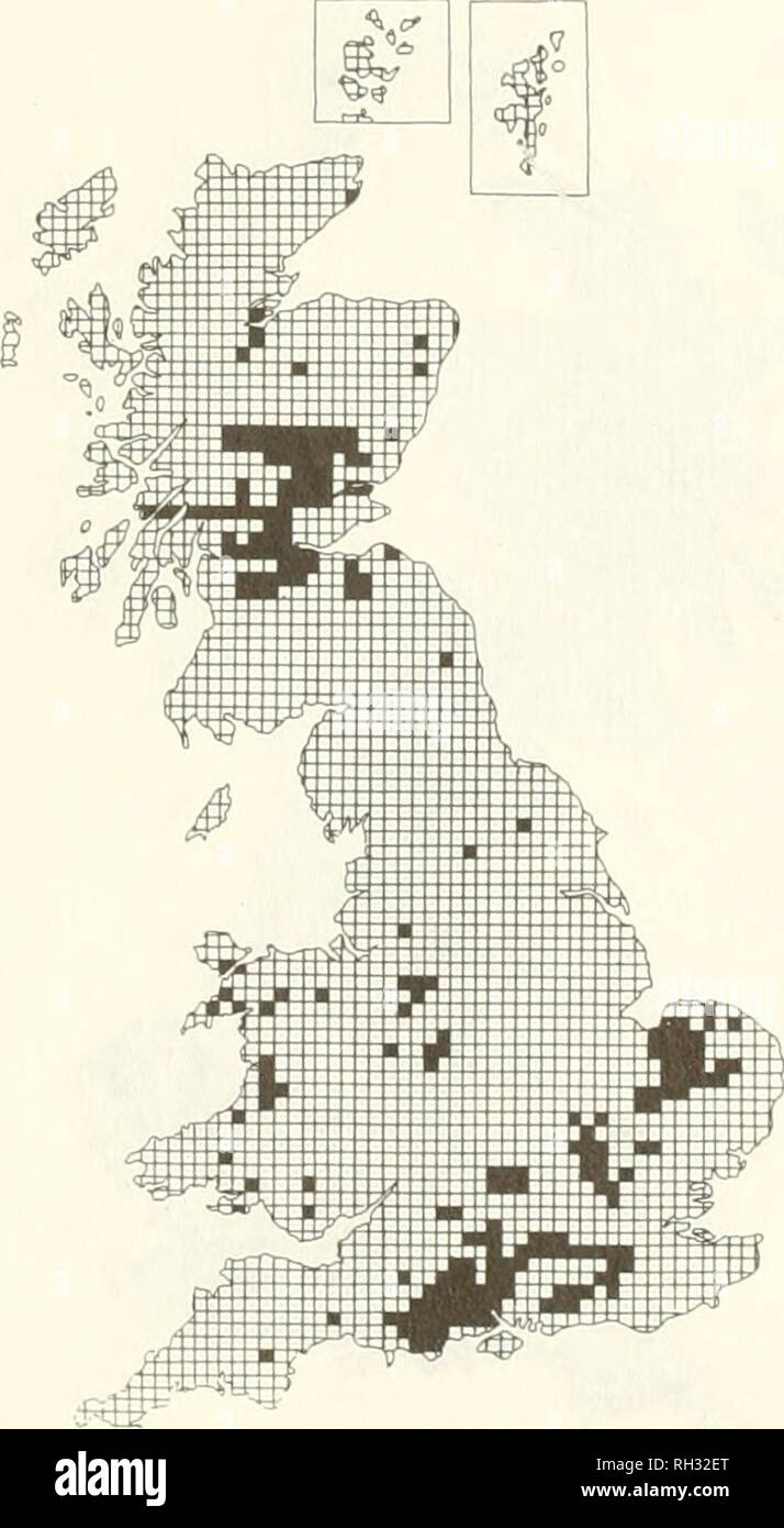 . British journal of entomology and natural history. Natural history; Entomology. BR. J. ENT. NAT. HIST., 3; 1990 Map 17. Cream-spot ladybird Calvia 14-gunala Map 18. 4 spot ladybird Propylea 14-punctata. Please note that these images are extracted from scanned page images that may have been digitally enhanced for readability - coloration and appearance of these illustrations may not perfectly resemble the original work.. British Entomological and Natural History Society. [London] : British Entomological and Natural History Society Stock Photo
